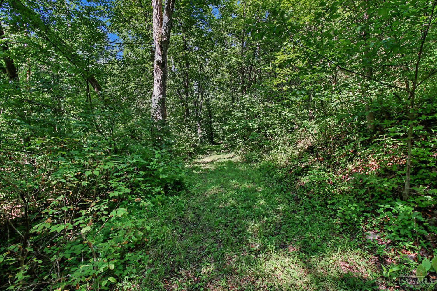 Bascom Corner Road Property Photo 22