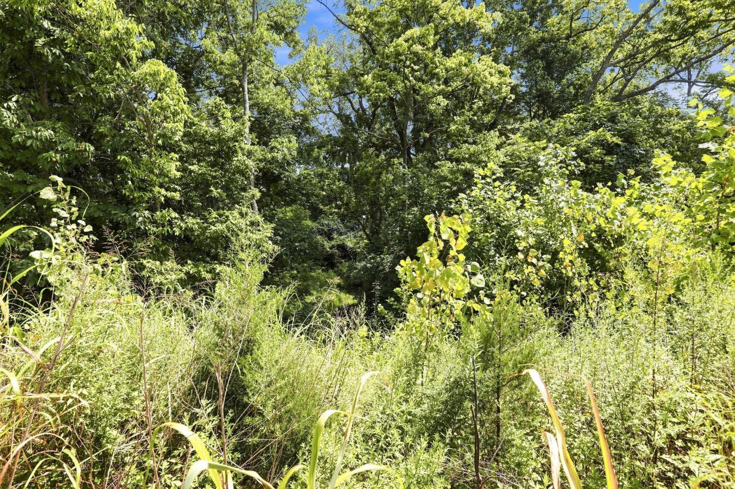 1428 Wolfangel Road Property Photo 75