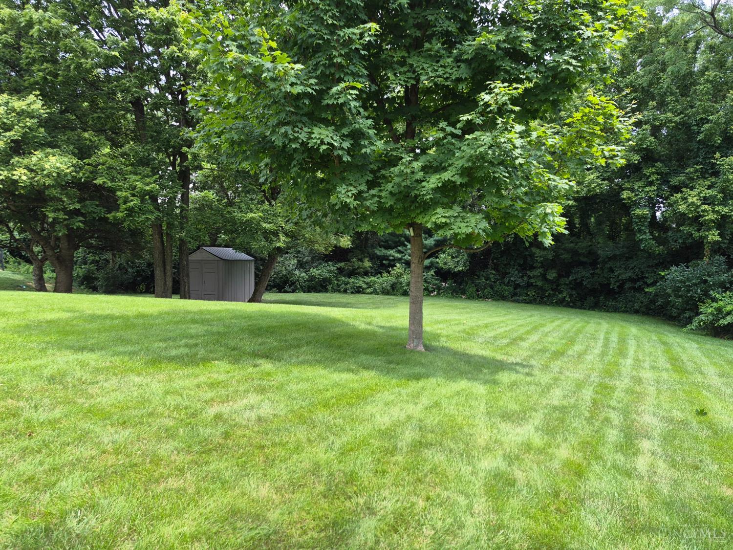 2818 Orchardpark Drive Property Photo 62