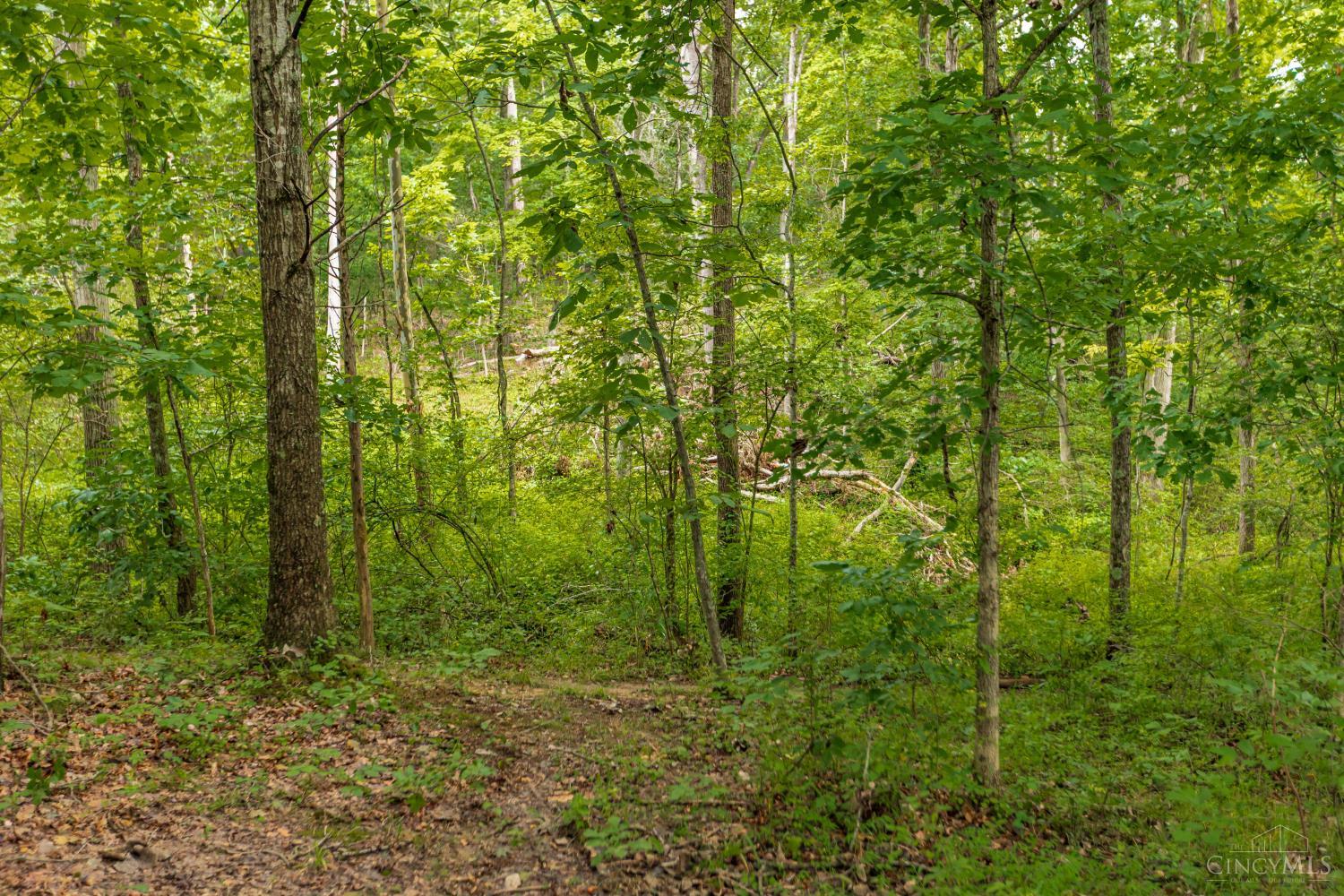 3971 Unity Road Property Photo 26