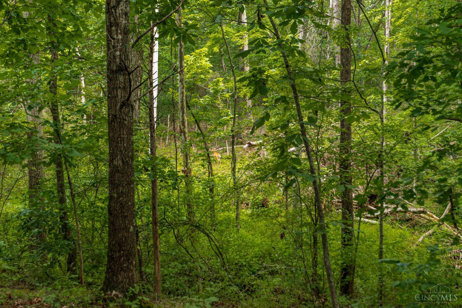 3971 Unity Road Property Photo 27