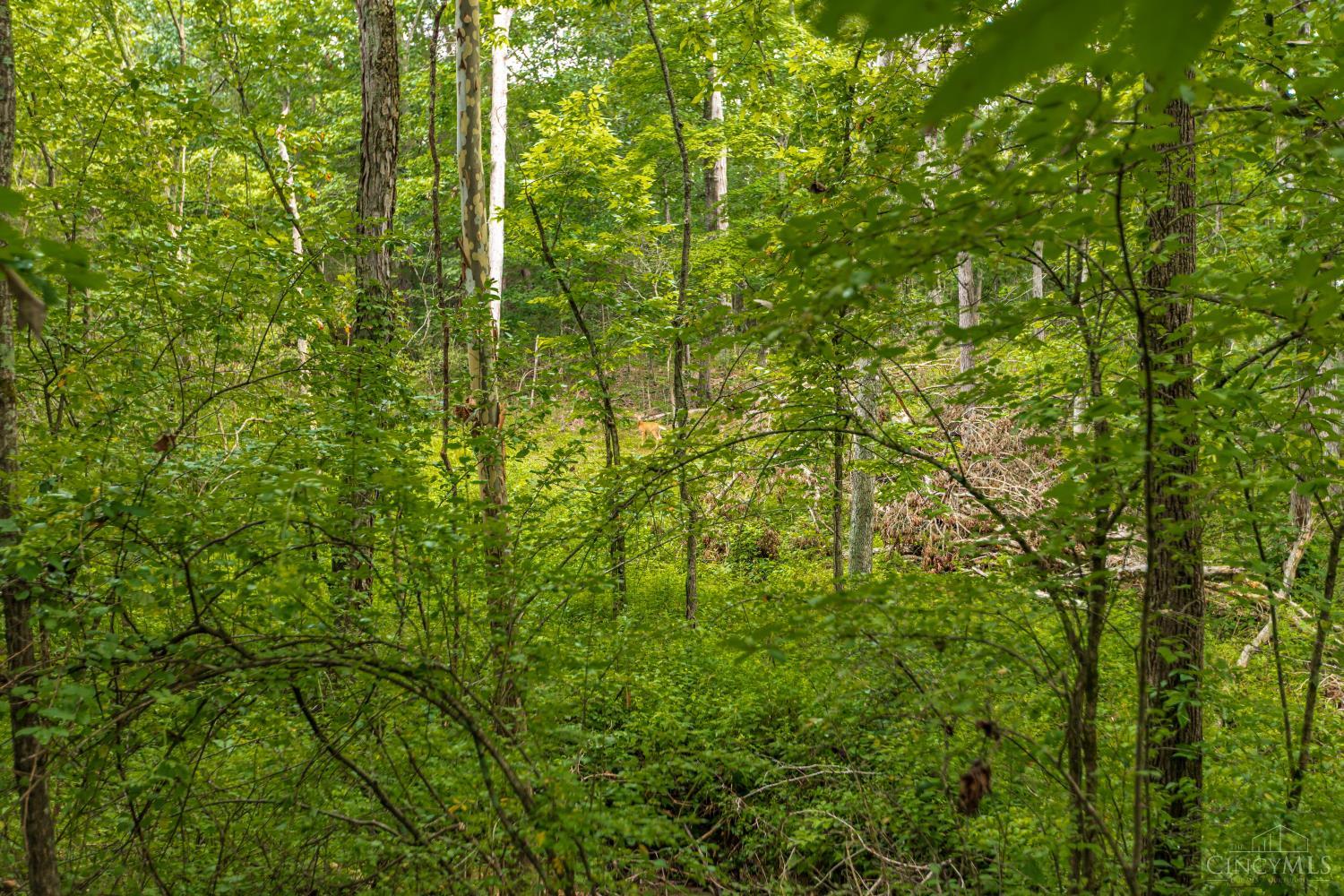 3971 Unity Road Property Photo 29