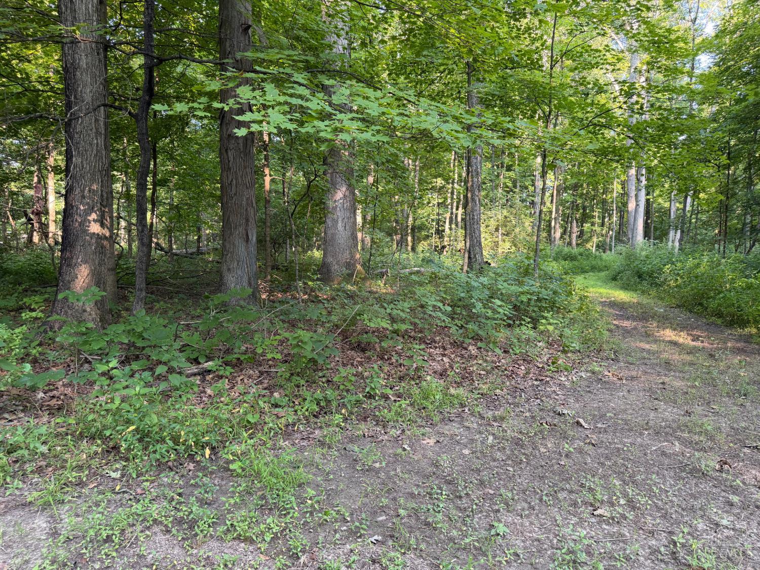 28 Hatt Swank Road Property Photo 7