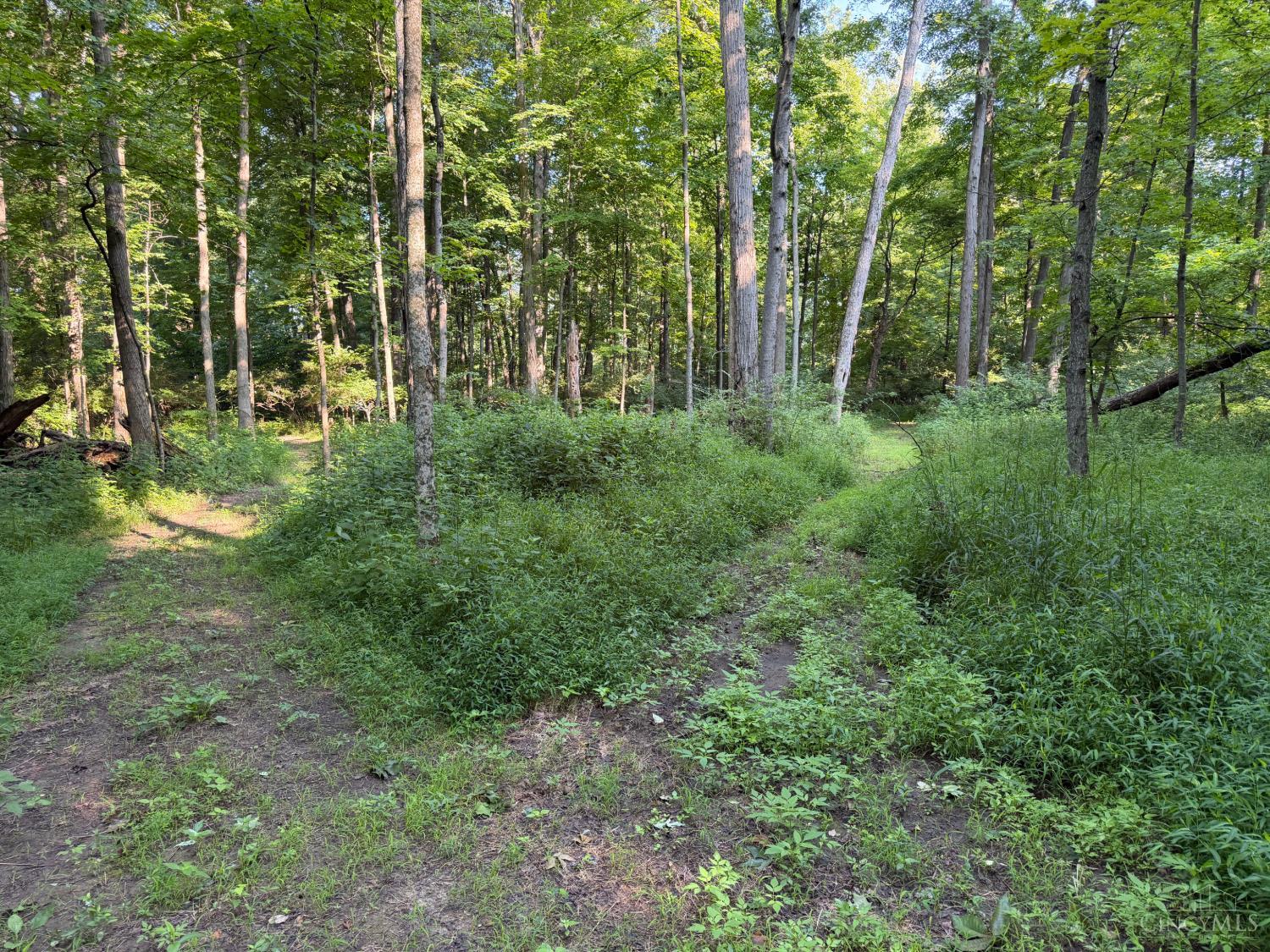 28 Hatt Swank Road Property Photo 19