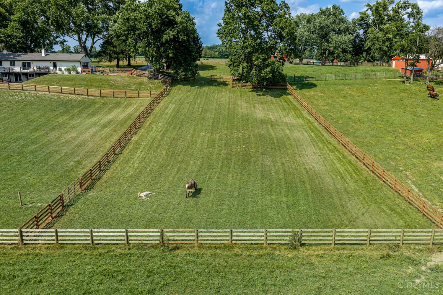 3385 Middle Run Road Property Photo 75