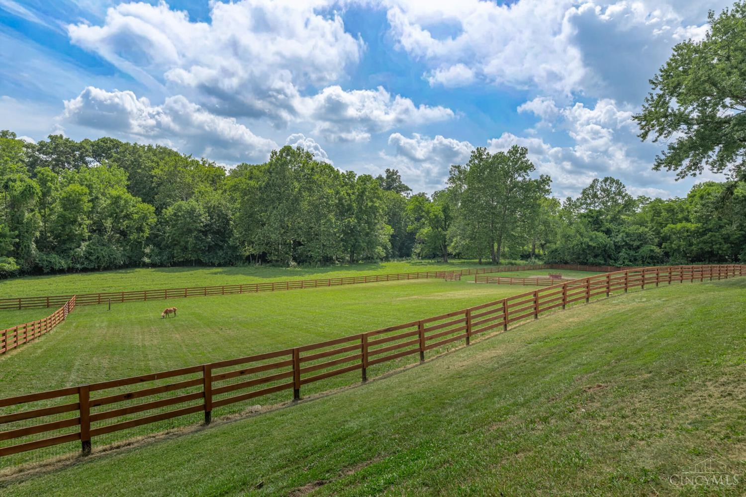 3385 Middle Run Road Property Photo 78