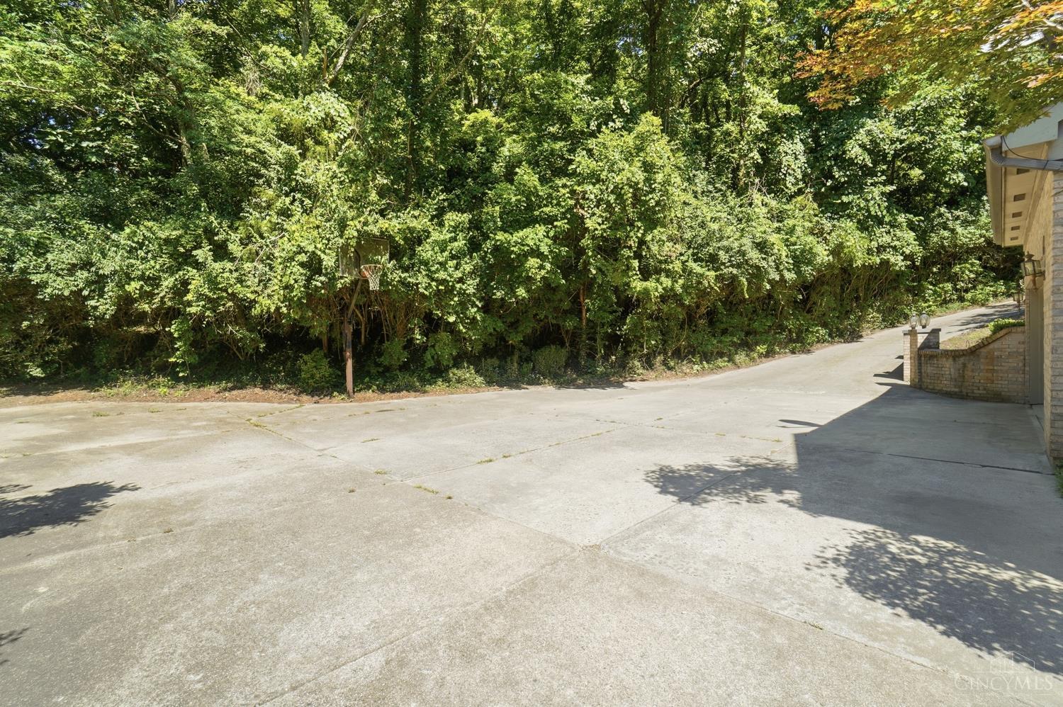 3282 Alpine Terrace Property Photo 69