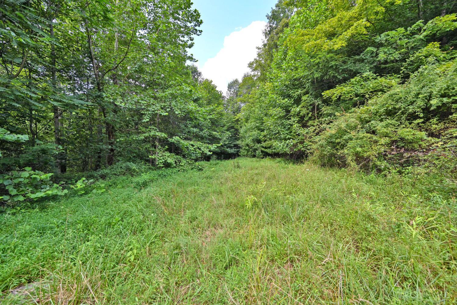 1890 Hall Fork Road Property Photo 32