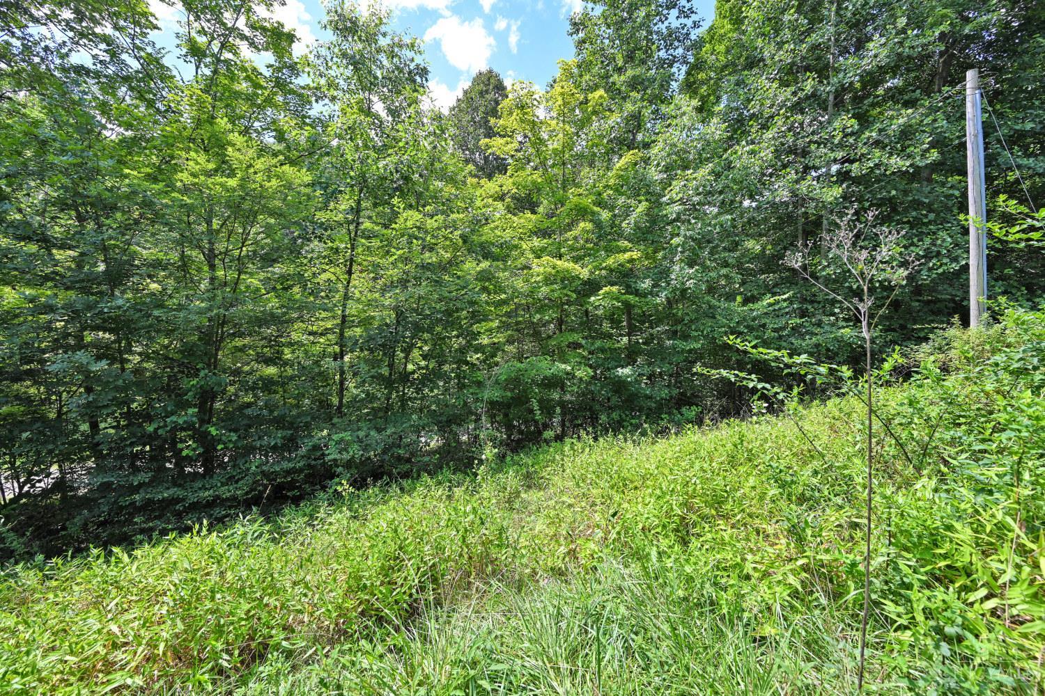 1890 Hall Fork Road Property Photo 33
