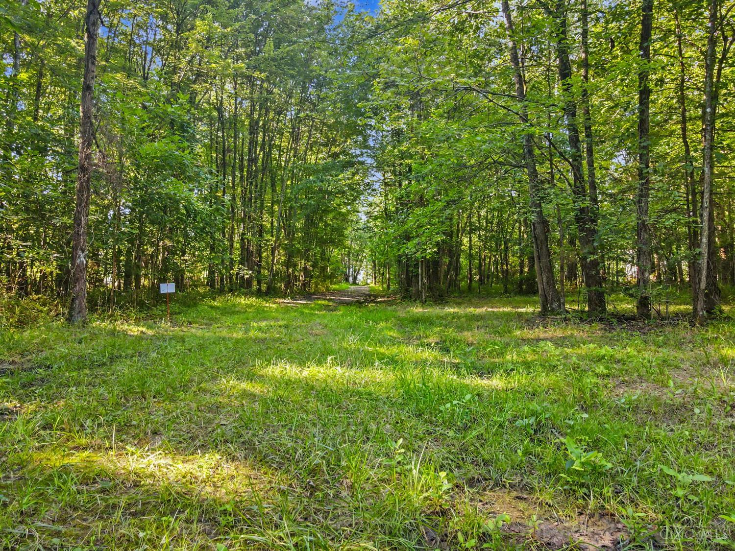 Patterson Road Property Photo 4