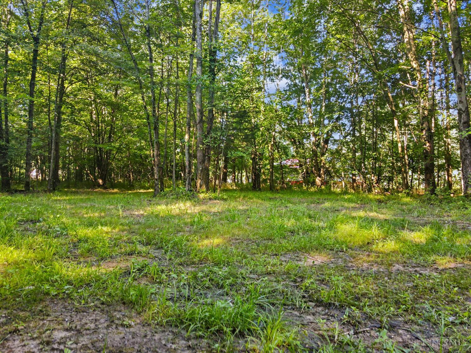 Patterson Road Property Photo 5
