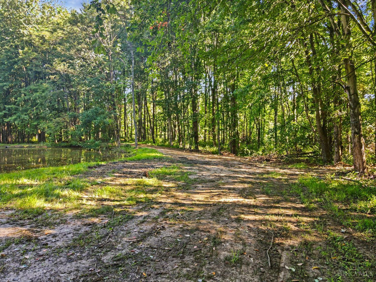Patterson Road Property Photo 7