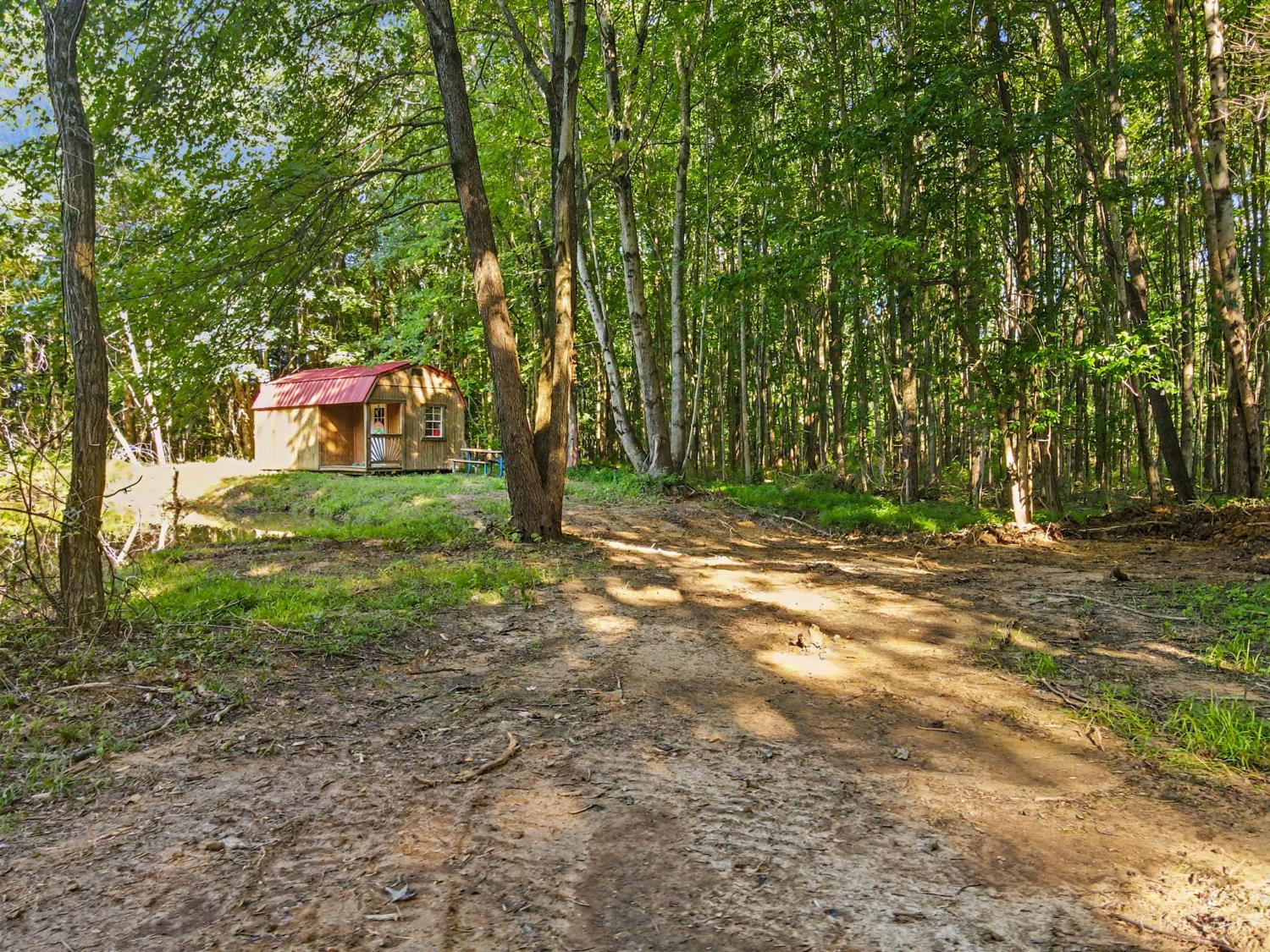 Patterson Road Property Photo 11