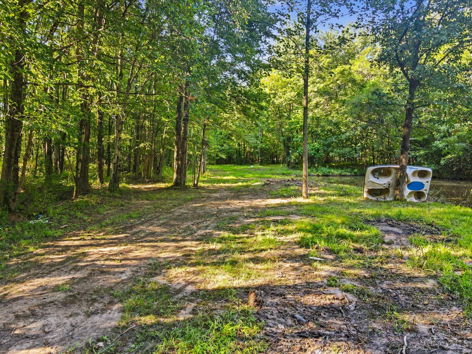 Patterson Road Property Photo 13