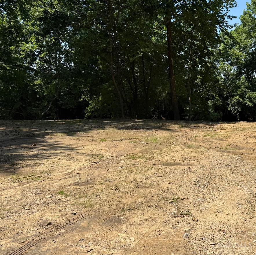 31700 Dixon Mill Road Property Photo 6