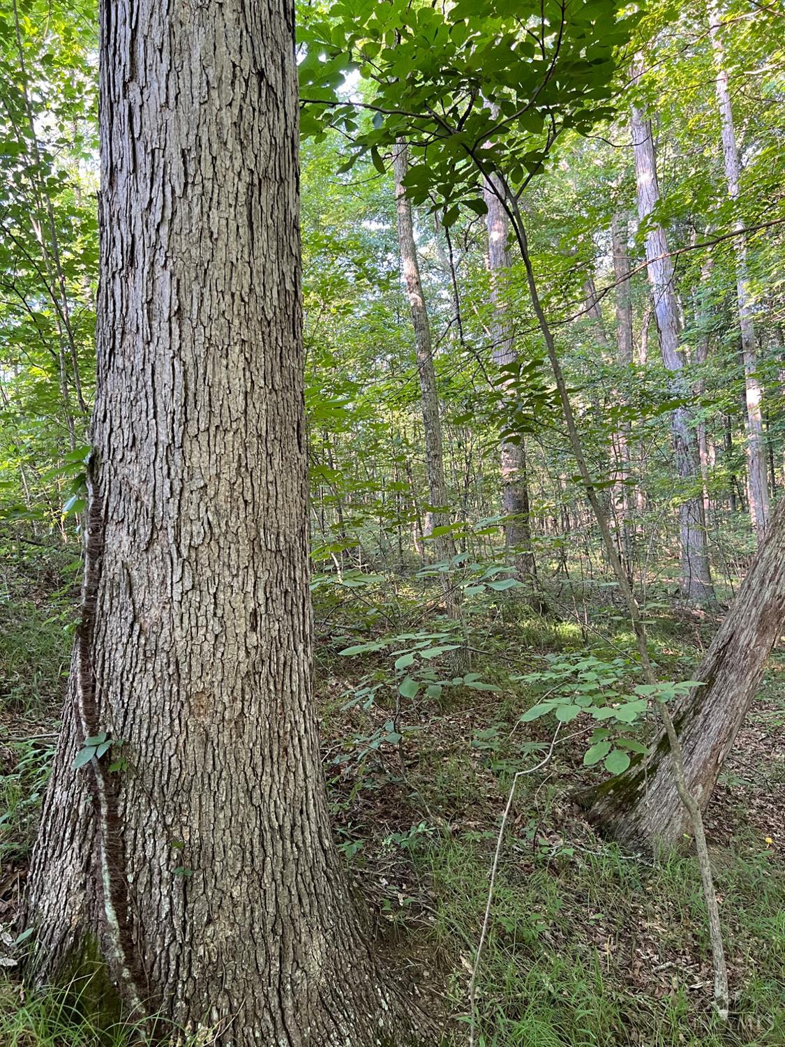 Tabernacle Road Property Photo 3