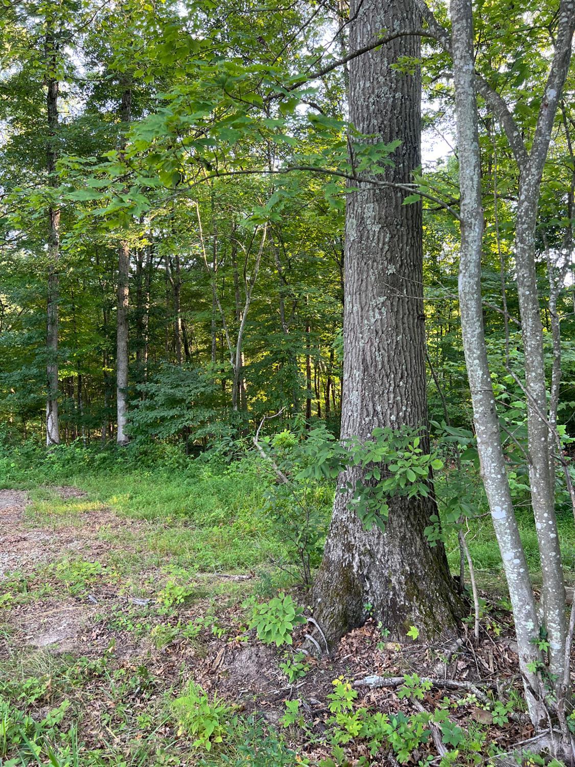Tabernacle Road Property Photo 5