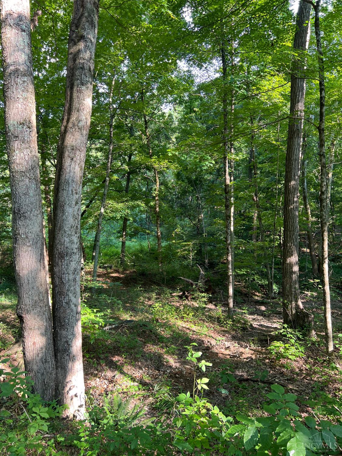 Tabernacle Road Property Photo 16