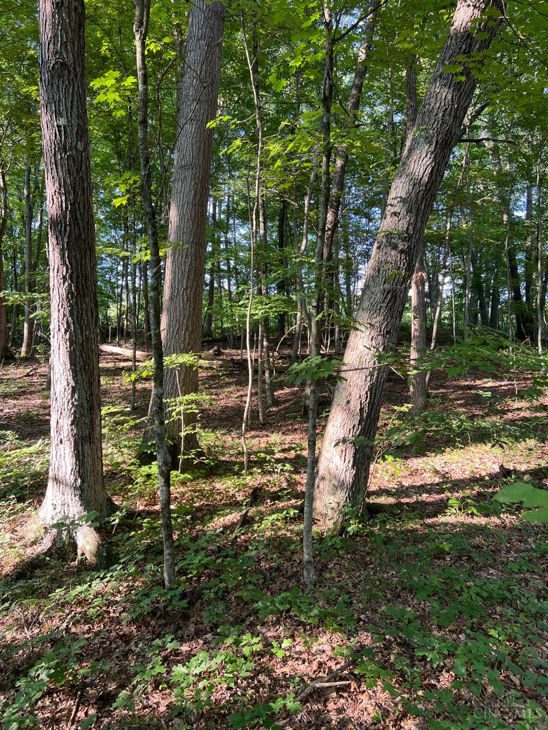 Tabernacle Road Property Photo 17