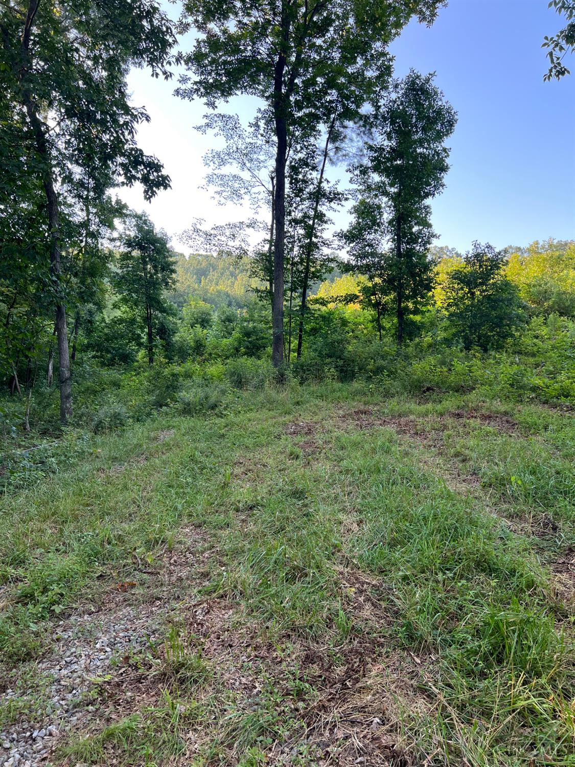 Tabernacle Road Property Photo 18