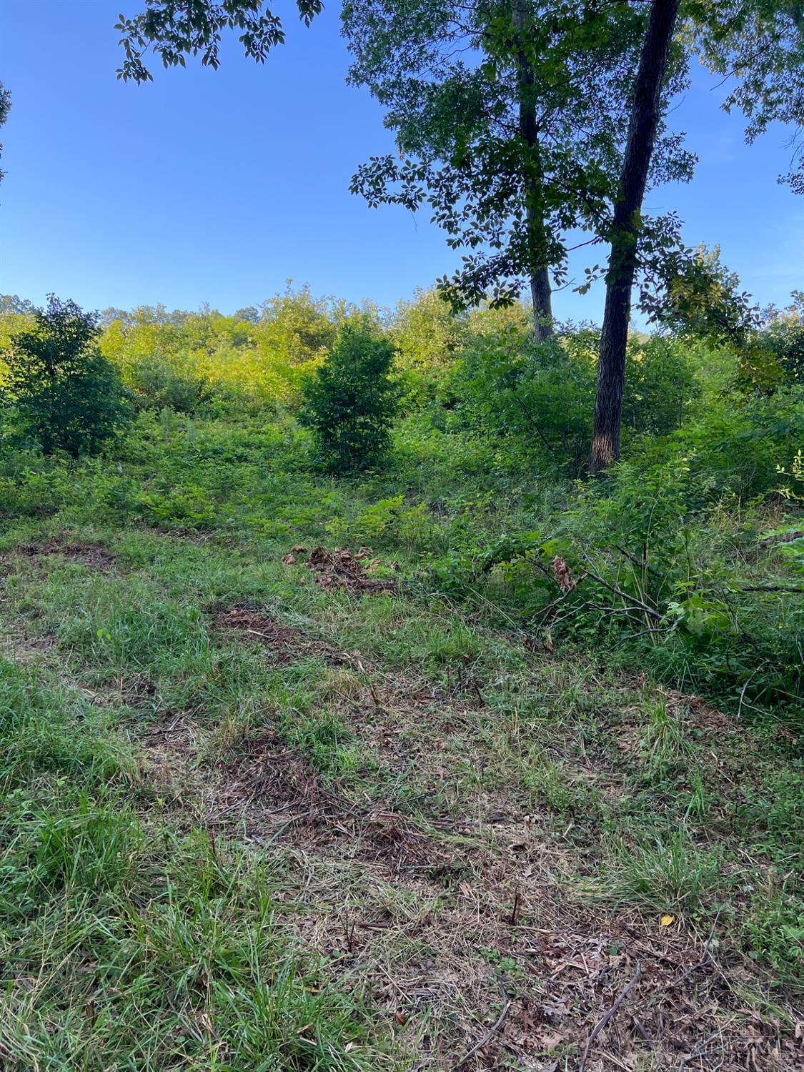 Tabernacle Road Property Photo 21