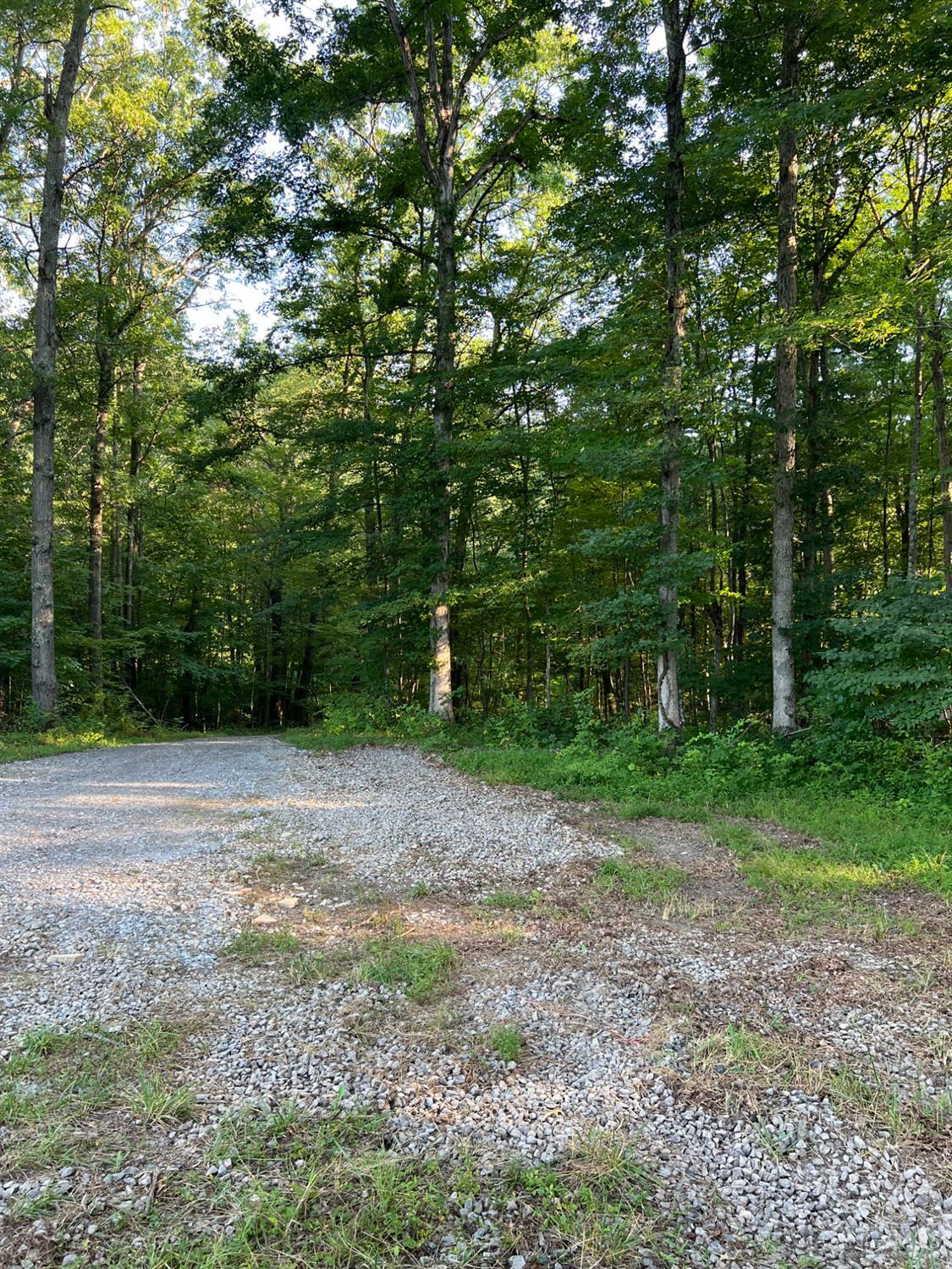 Tabernacle Road Property Photo 23