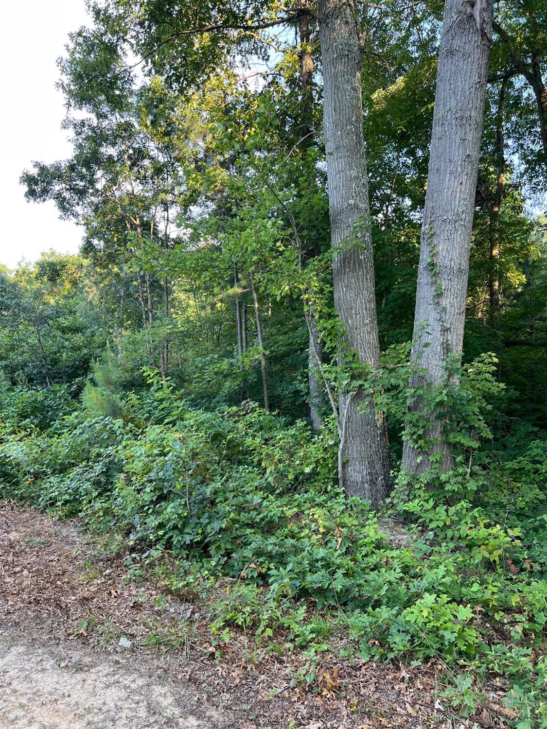 Tabernacle Road Property Photo 26