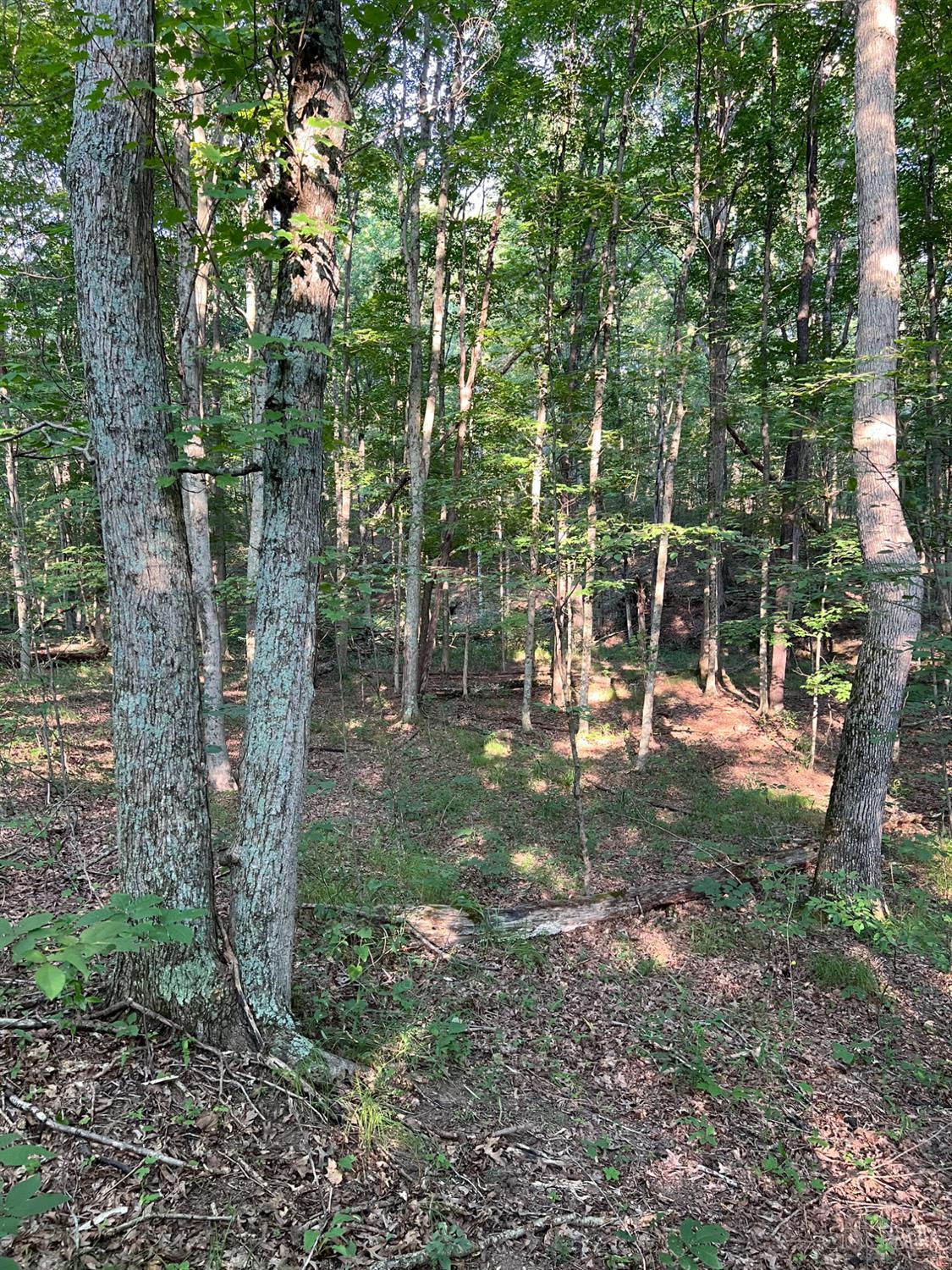 Tabernacle Road Property Photo 33