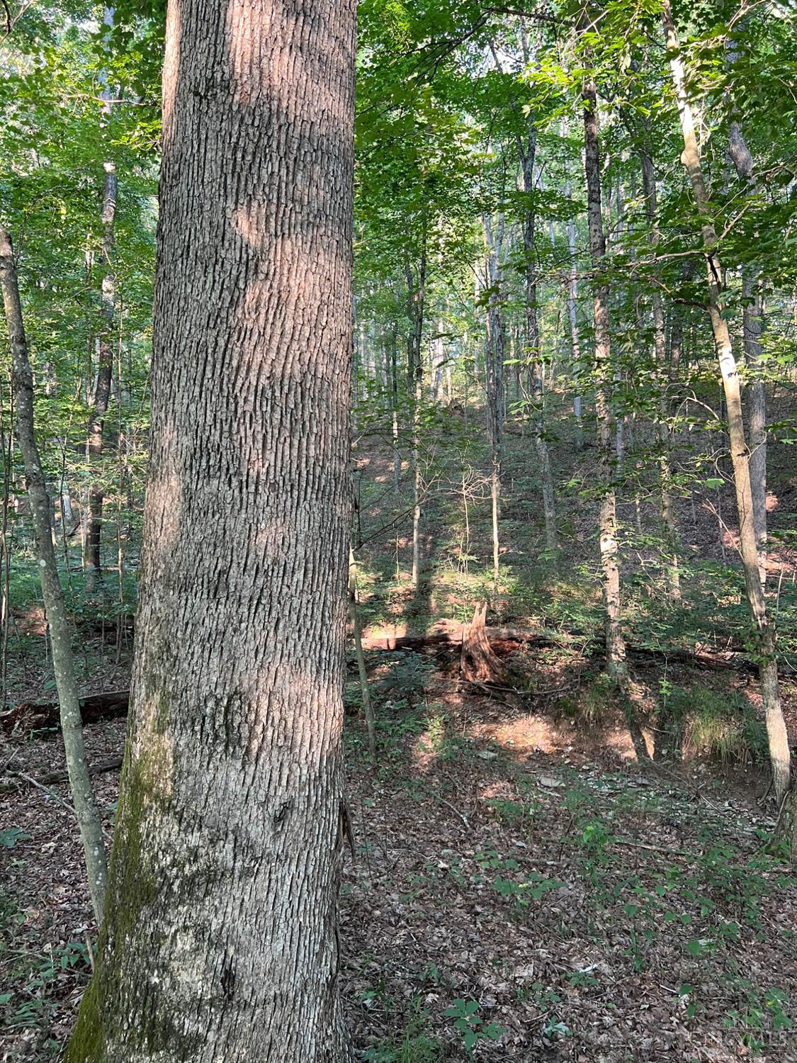 Tabernacle Road Property Photo 35