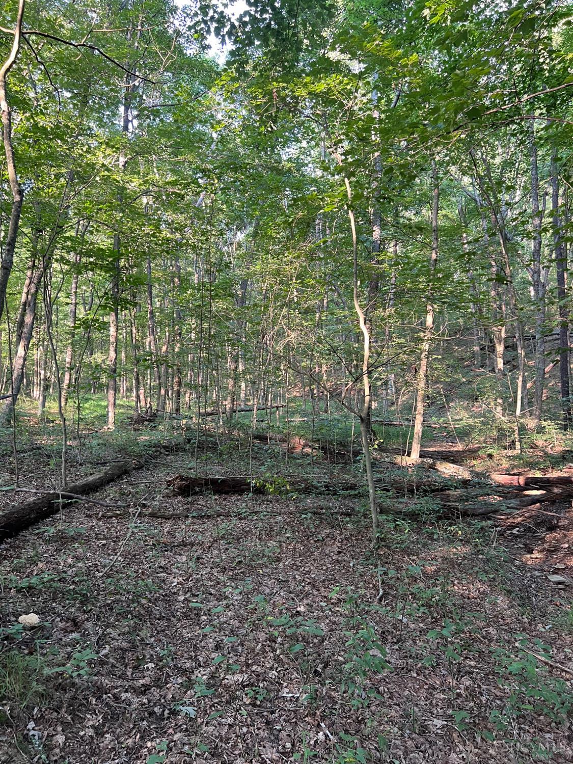 Tabernacle Road Property Photo 36