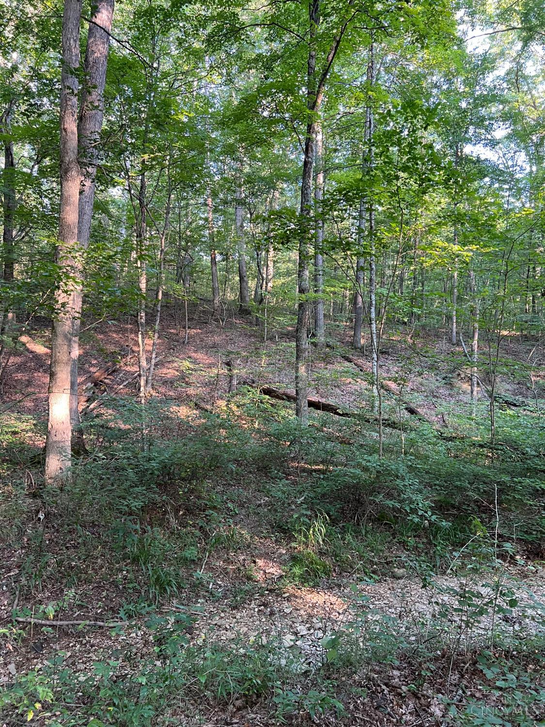 Tabernacle Road Property Photo 37