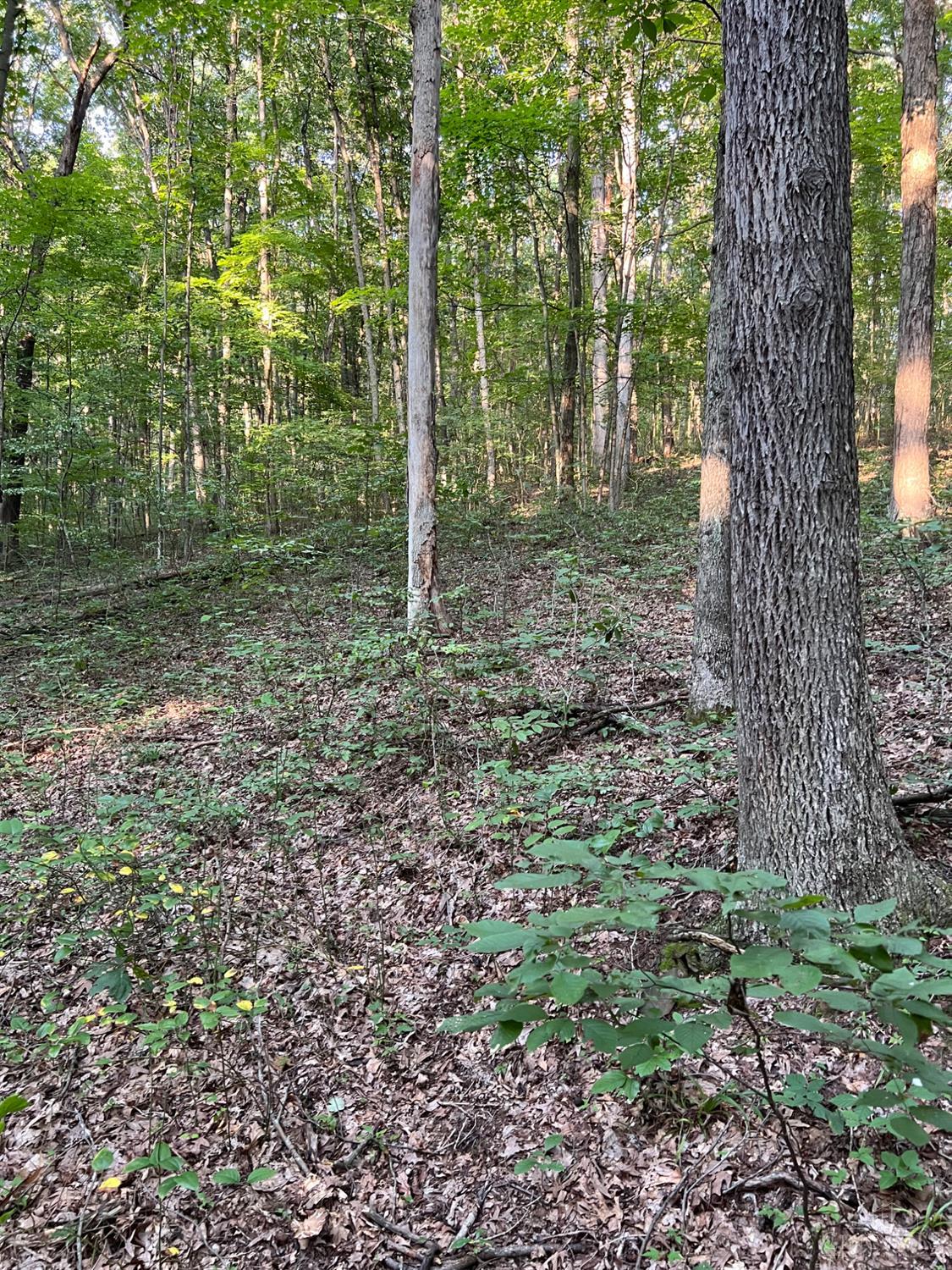 Tabernacle Road Property Photo 45