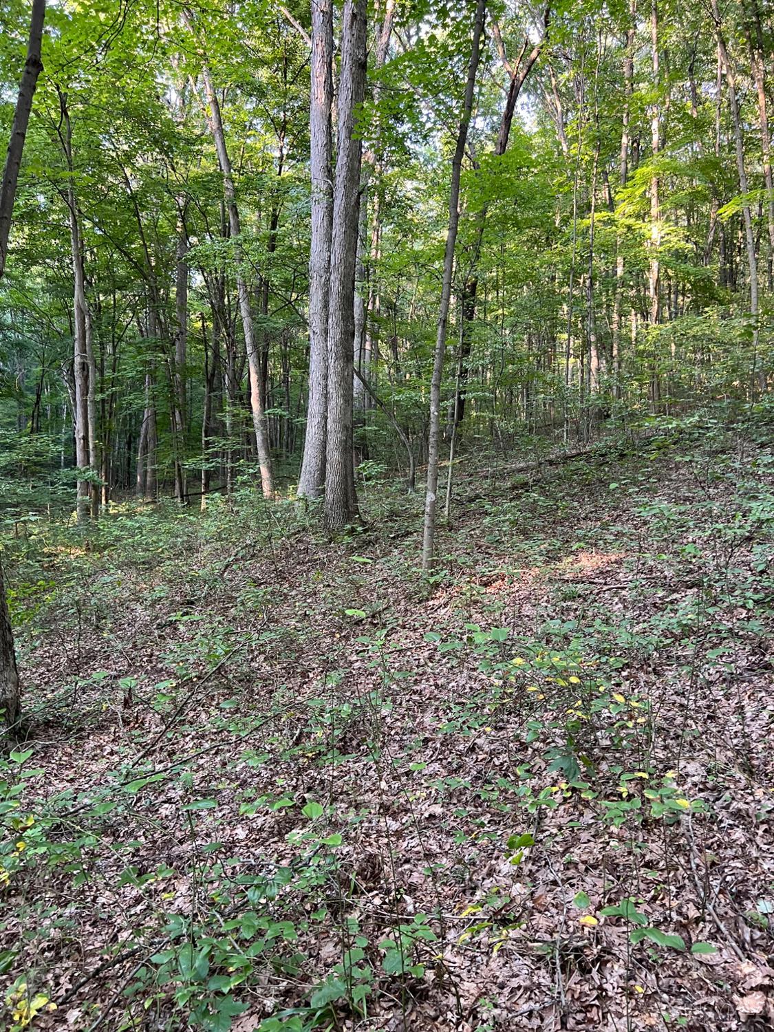 Tabernacle Road Property Photo 46