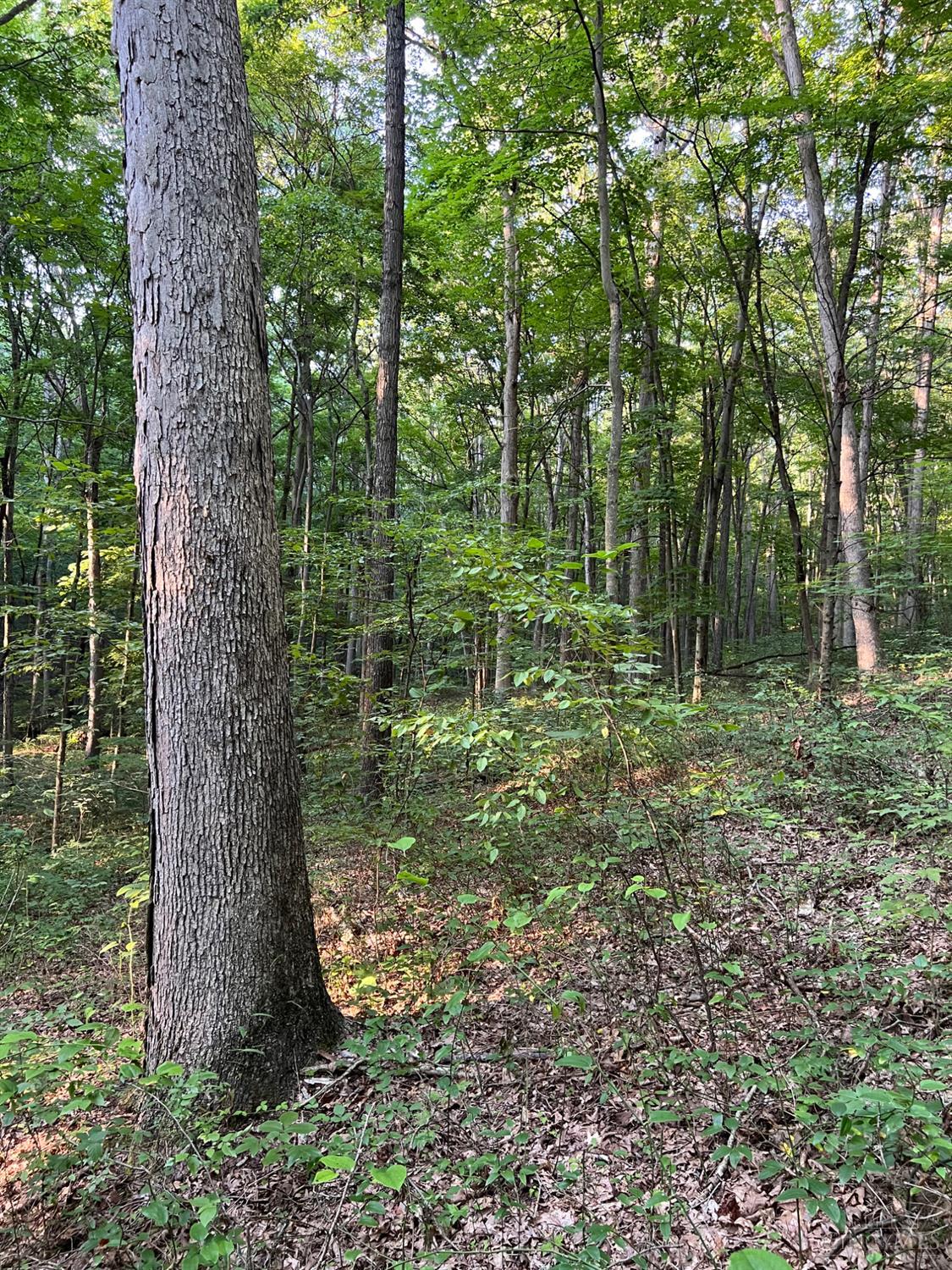 Tabernacle Road Property Photo 47