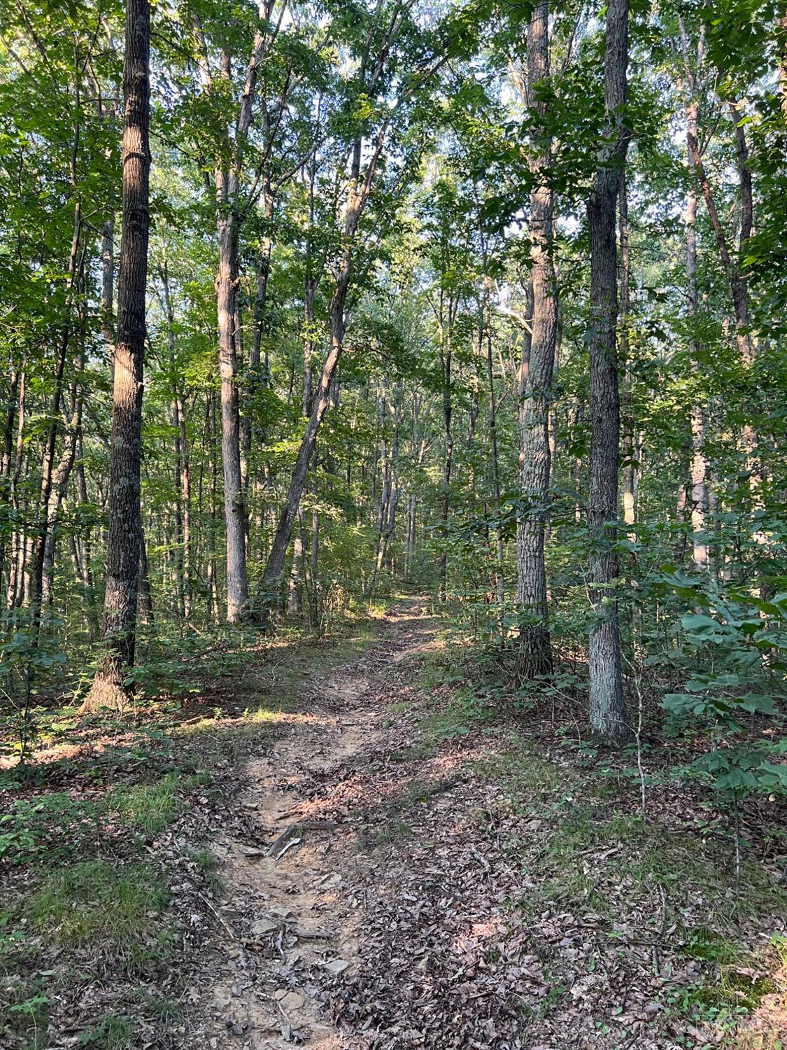 Tabernacle Road Property Photo 49
