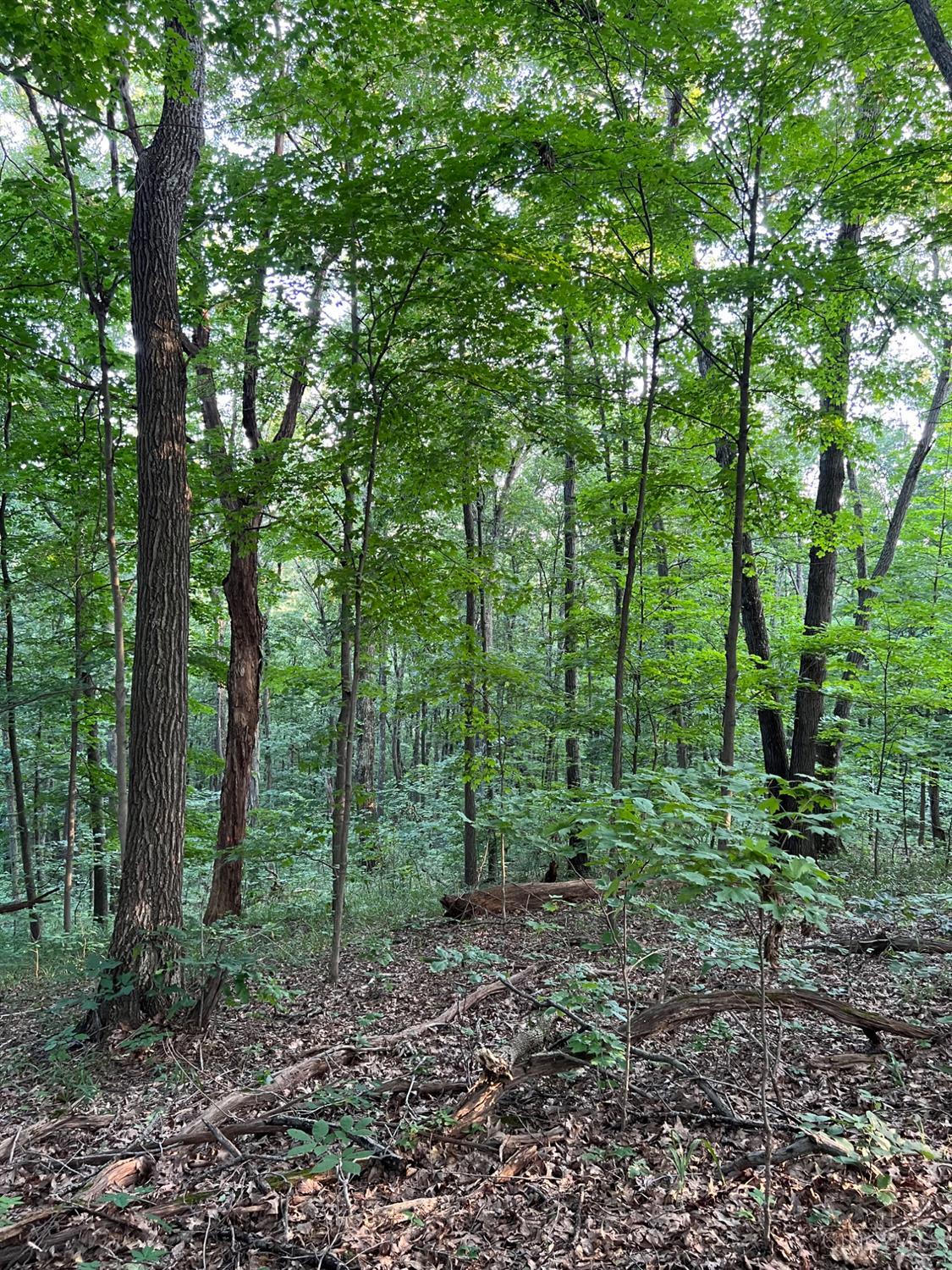 Tabernacle Road Property Photo 57
