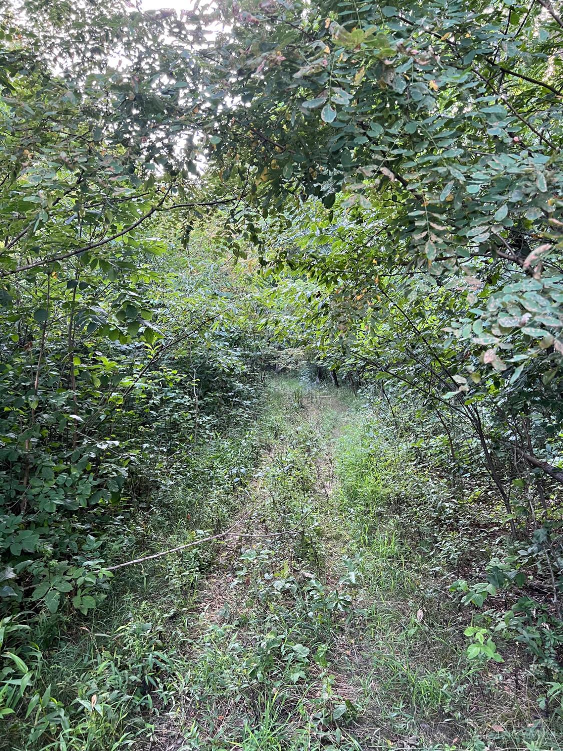 Tabernacle Road Property Photo 61