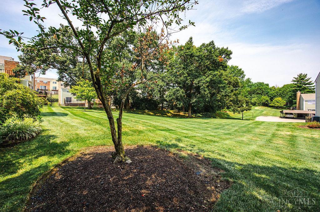 62 Applewood Drive Property Photo 39