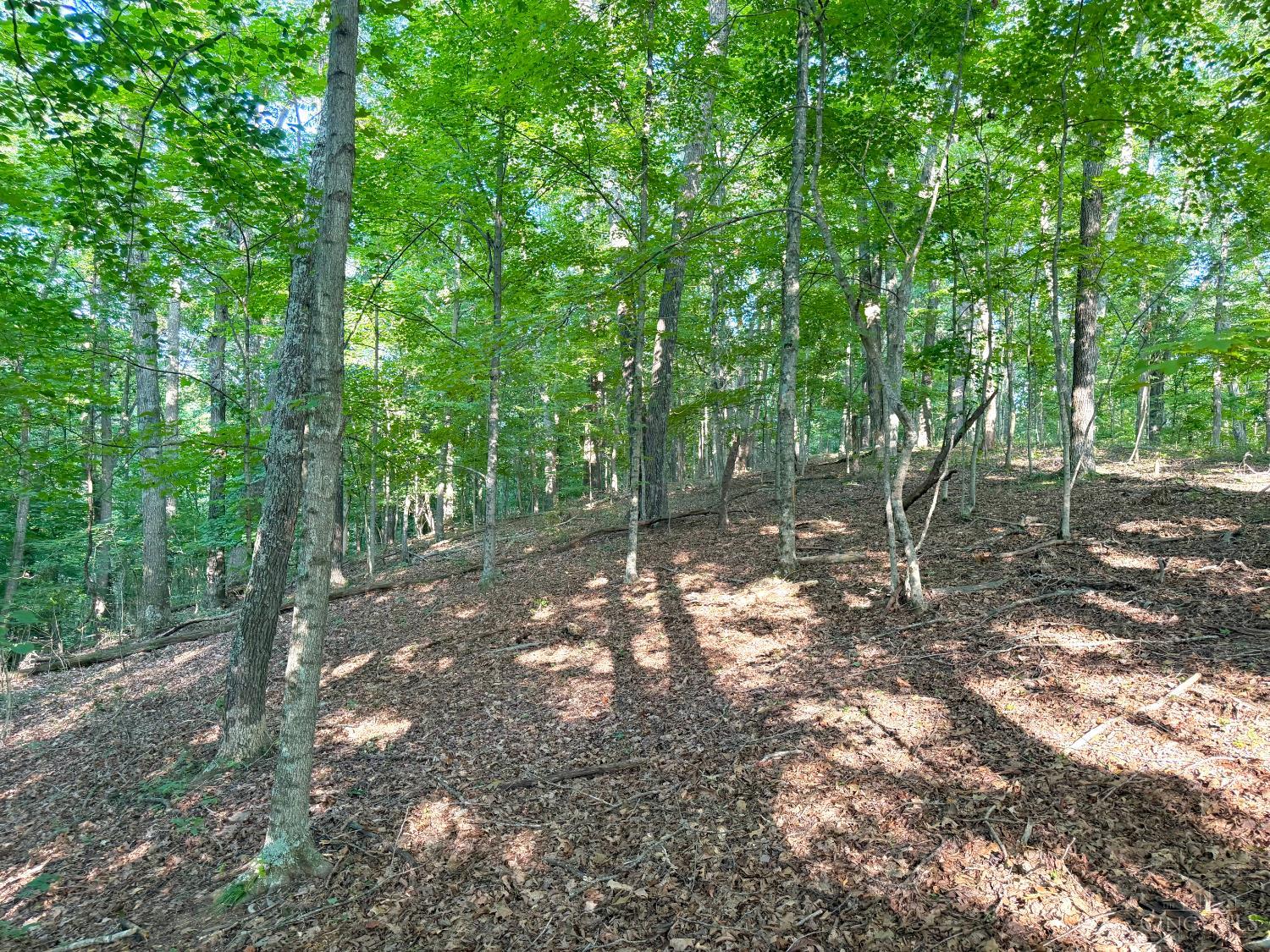 St Rt 325 Property Photo 13