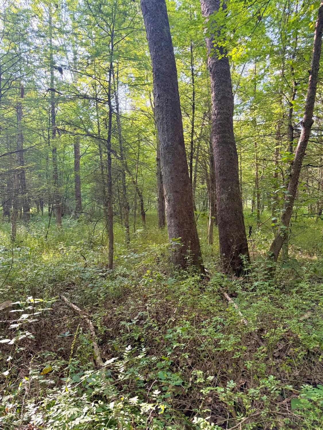 St Rt 325 Property Photo 33