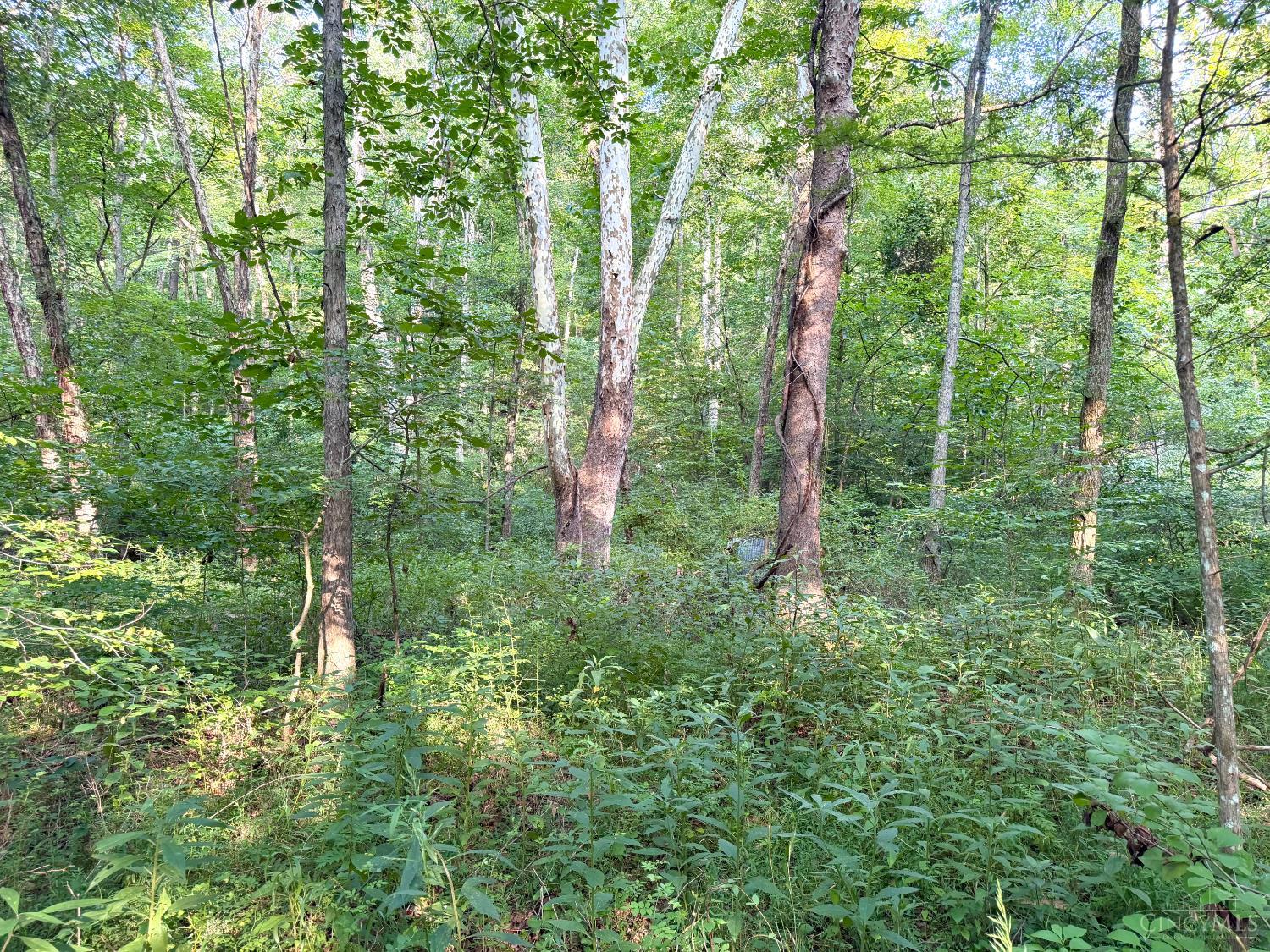 St Rt 325 Property Photo 35