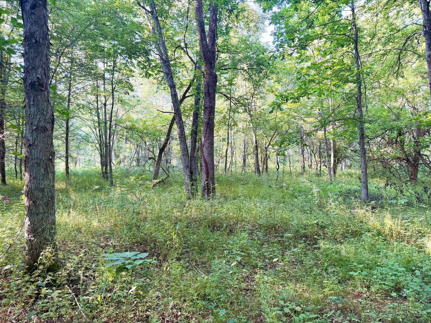 St Rt 325 Property Photo 37