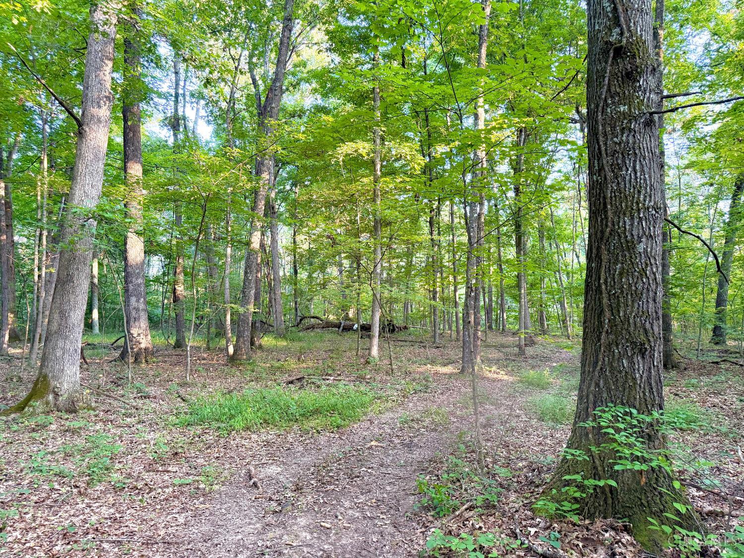 Keesee Road Property Photo 4