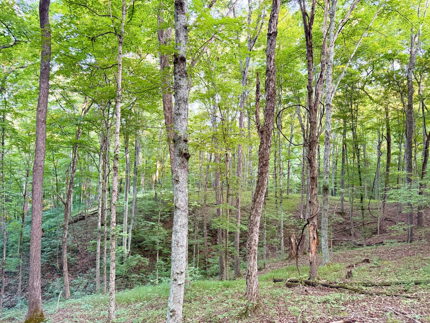 Keesee Road Property Photo 6