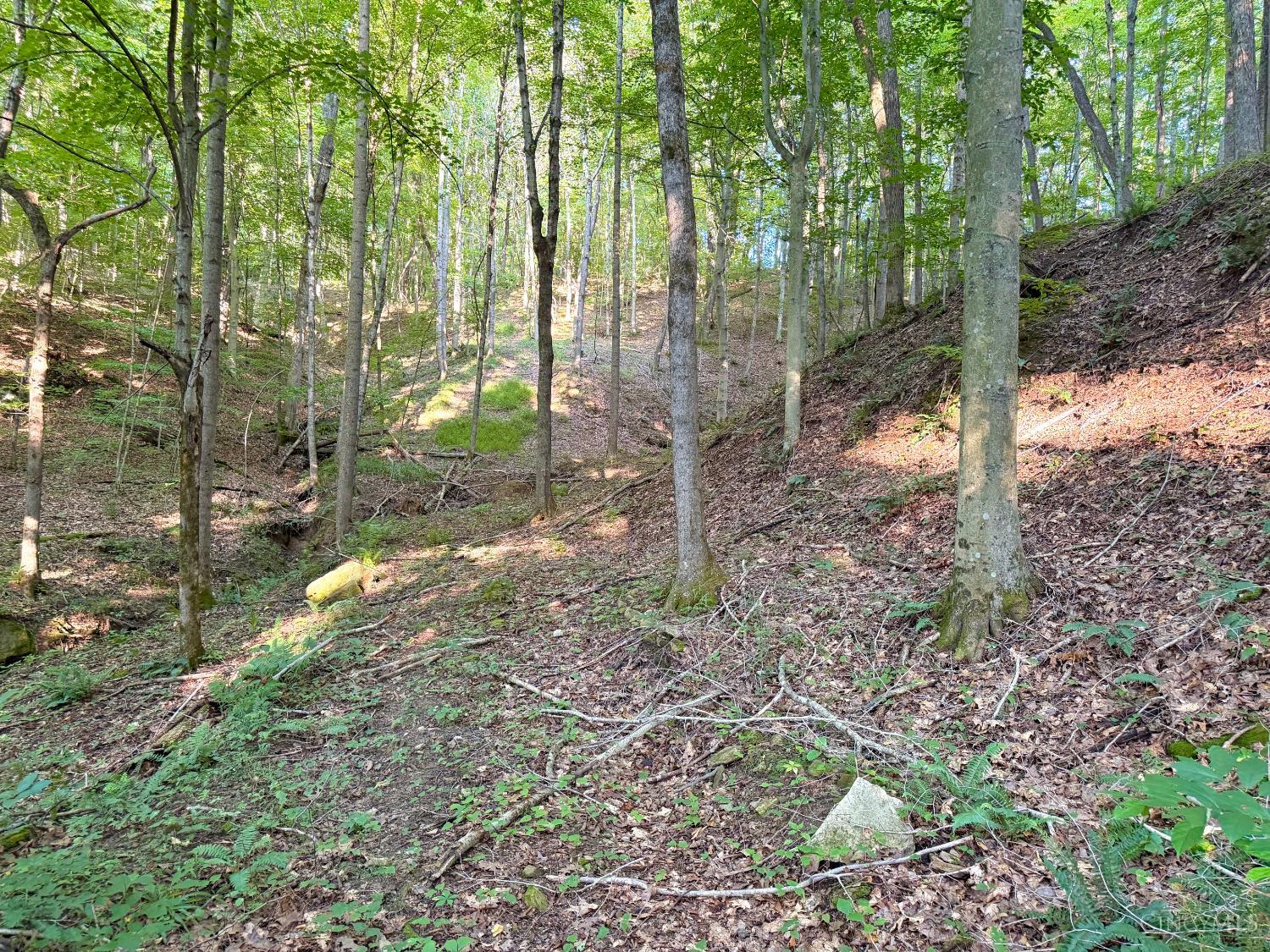 Keesee Road Property Photo 7