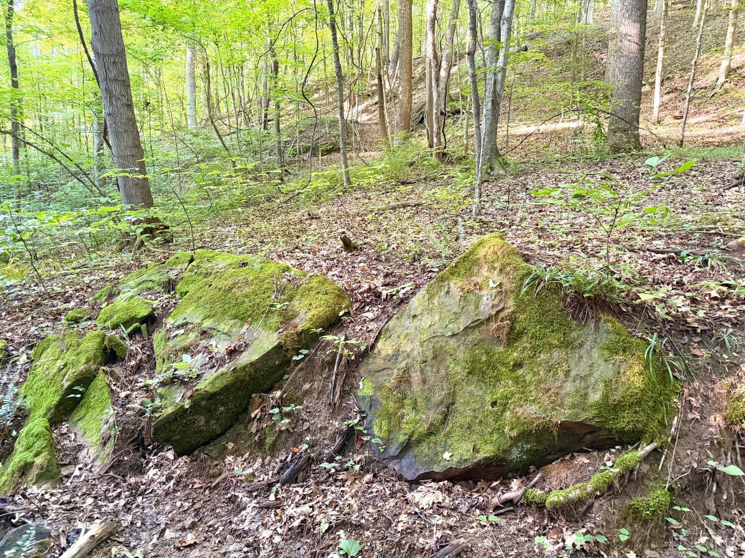 Keesee Road Property Photo 10