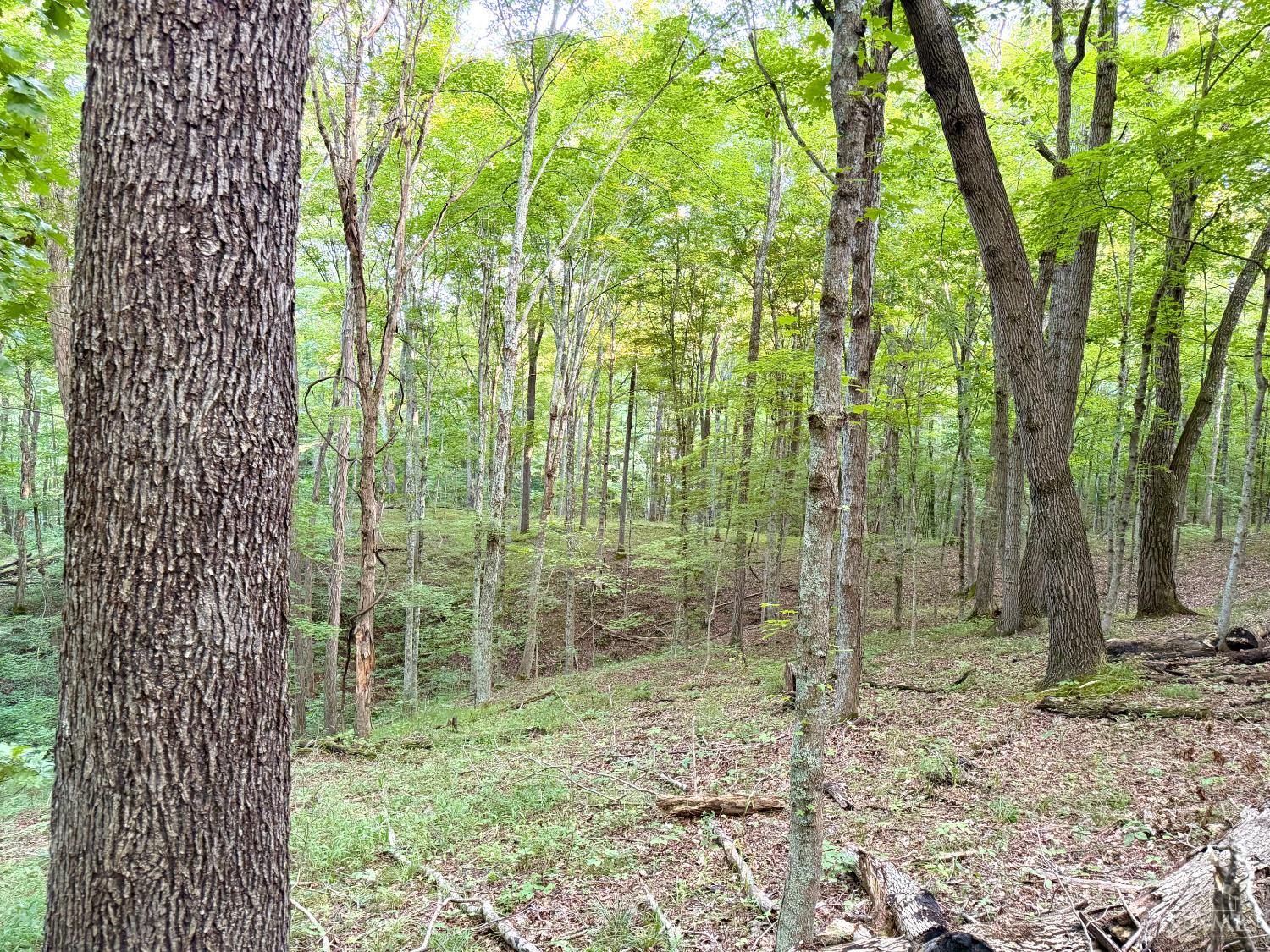Keesee Road Property Photo 19