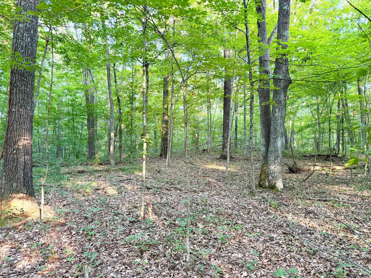 Keesee Road Property Photo 20