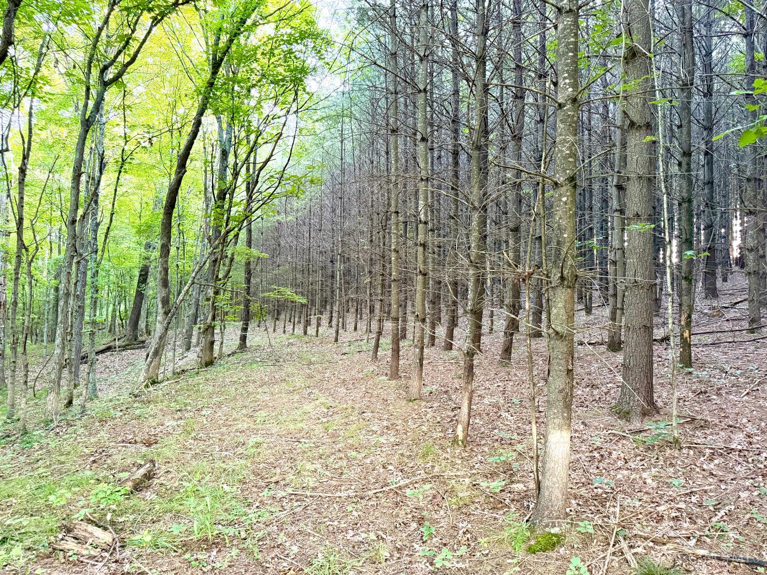 Keesee Road Property Photo 21