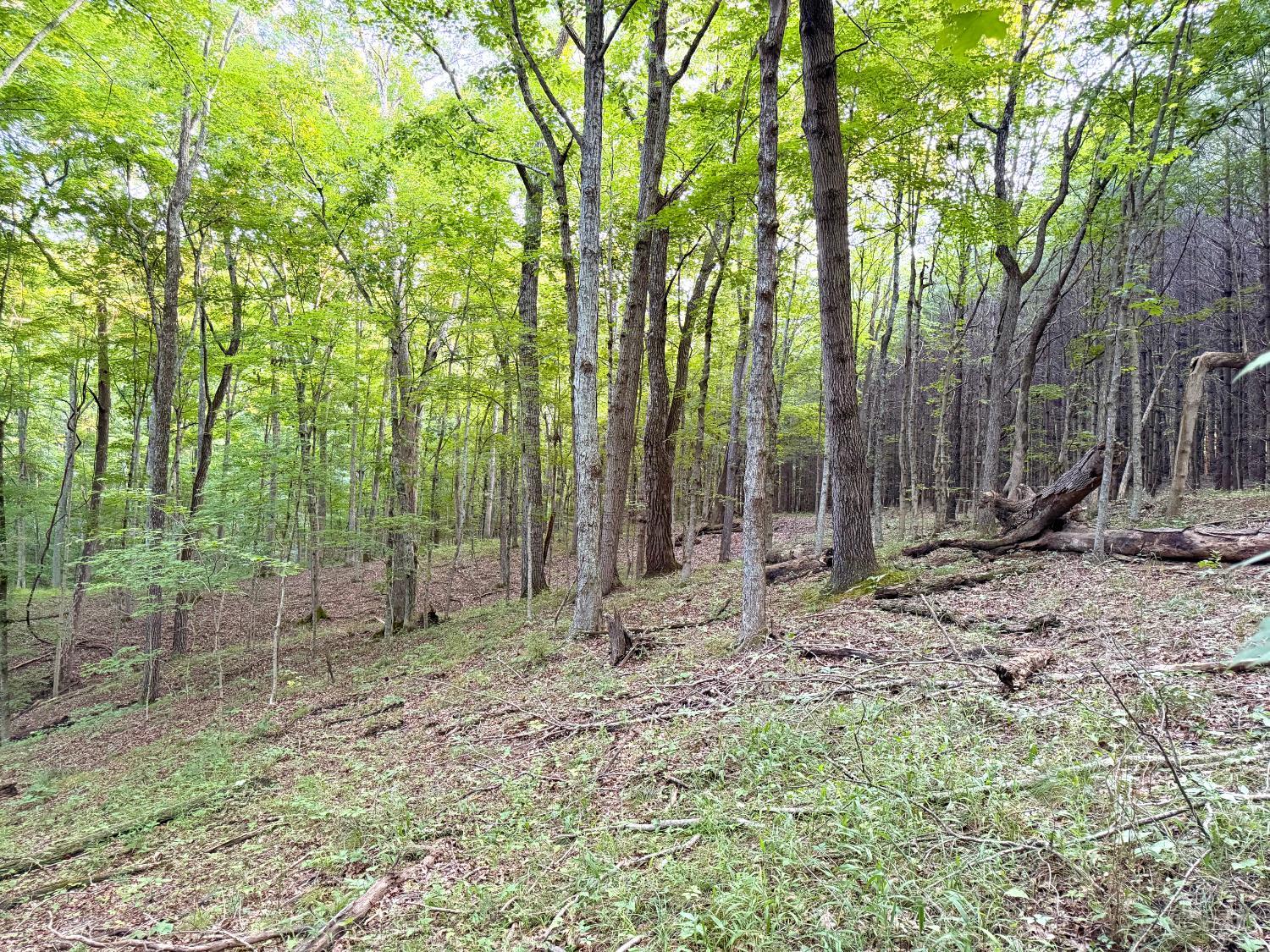 Keesee Road Property Photo 22